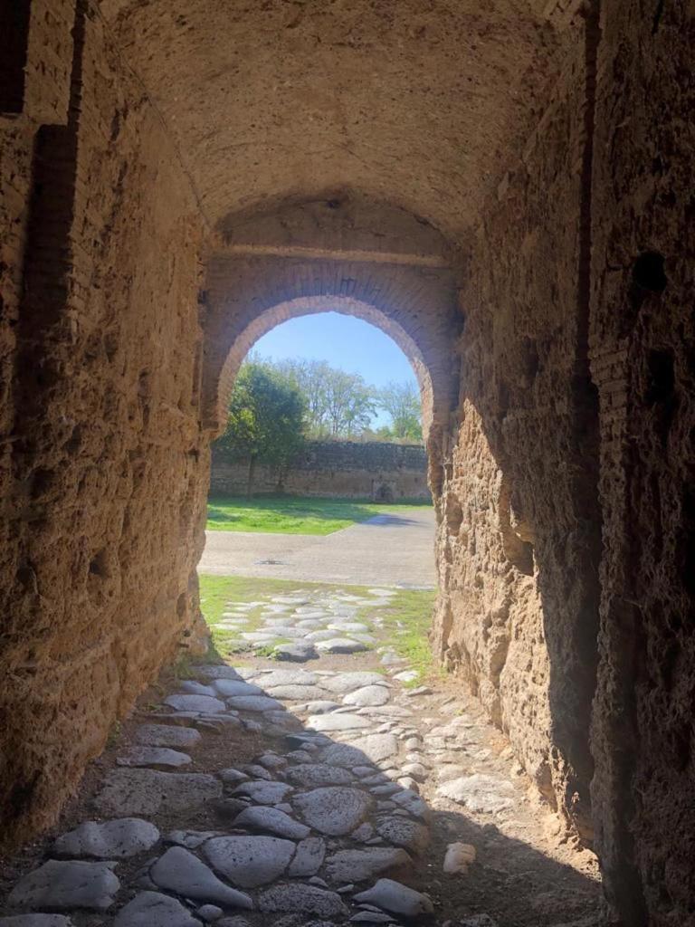 Casuale House Apartment Castel Sant'Elia Exterior photo